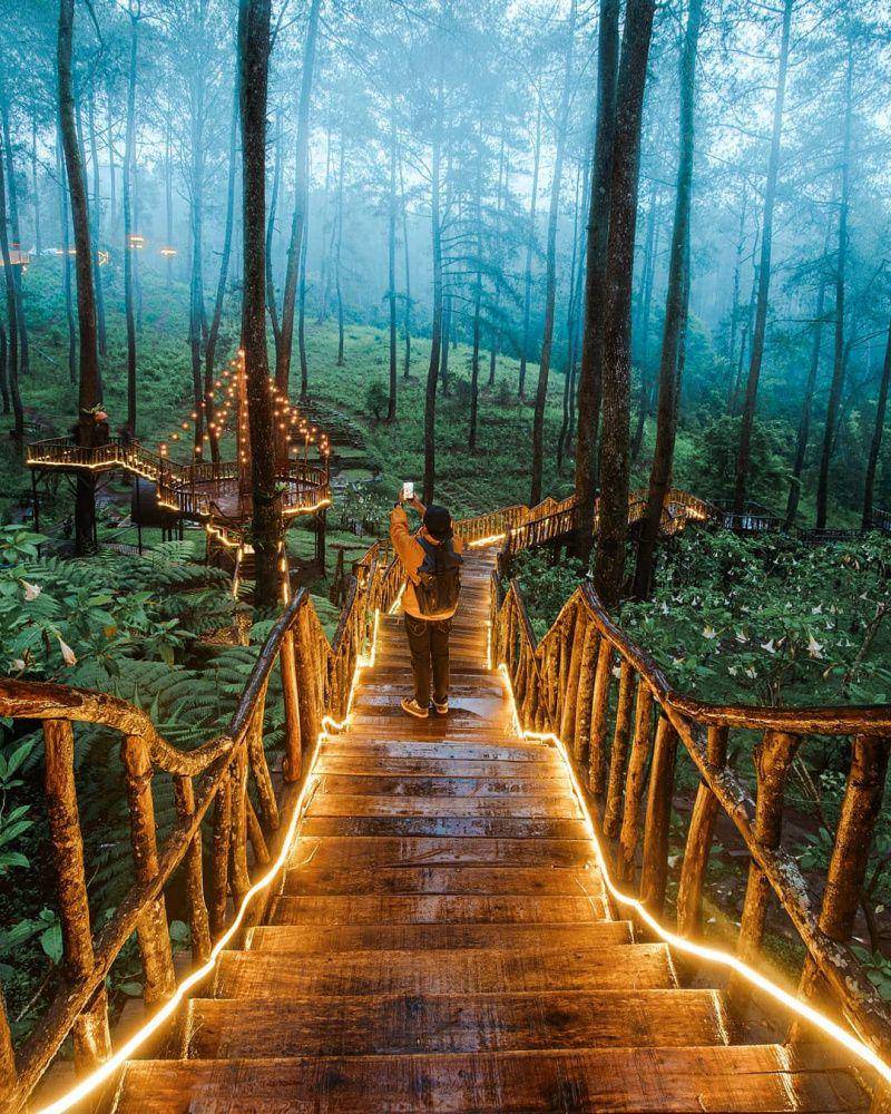 sky bridge di Orchid Forest Cikole (instagram.com/skysoultan)