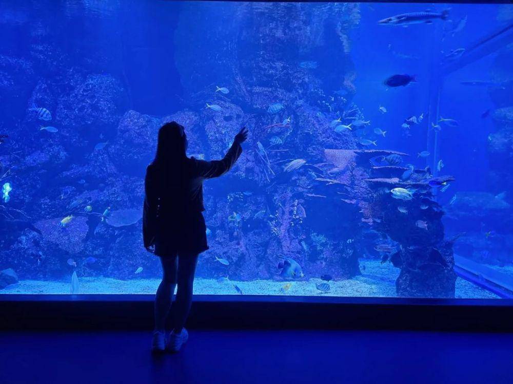 Jakarta Akuarium & Safari (instagram.com/intan_huang168)