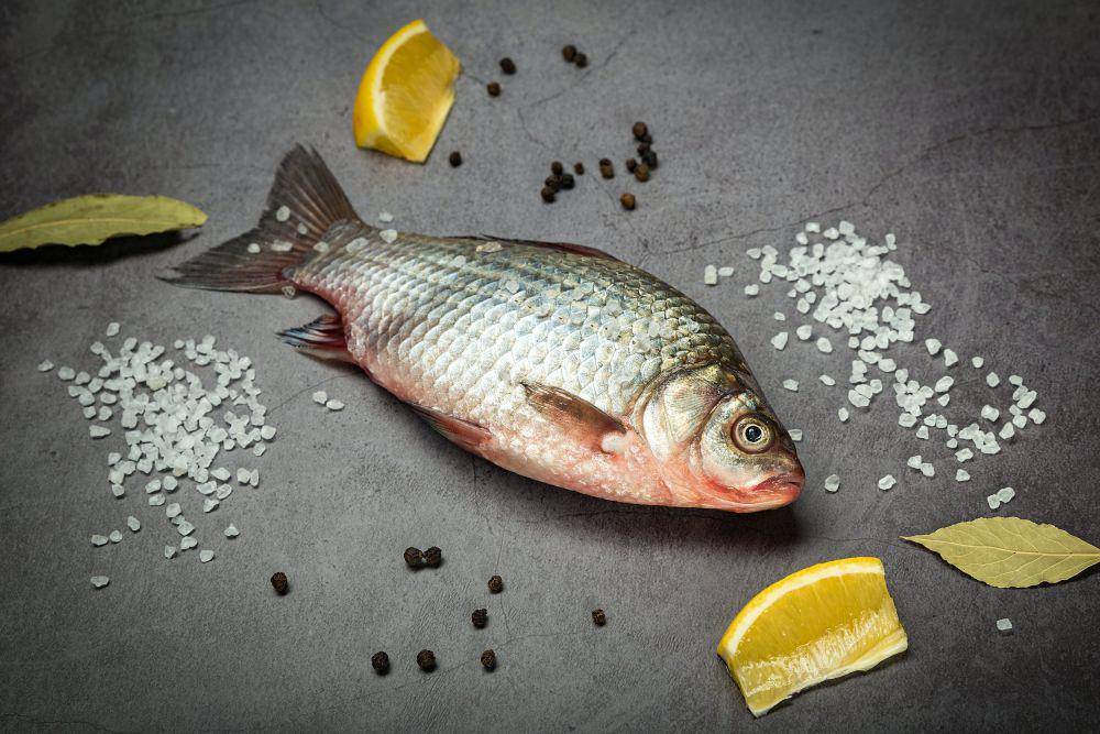 ilustrasi ikan (pexels.com/Evgeniy Alekseyev)