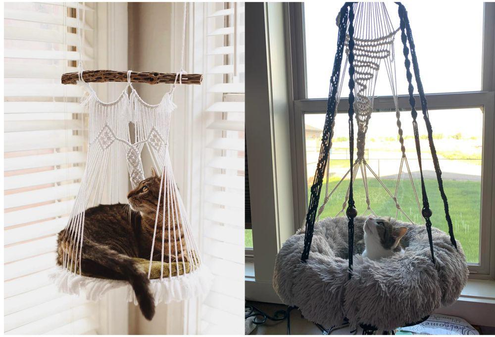 10 Potret Lucu Kucing Nongkrong di Hammock Makrame, Gemas!