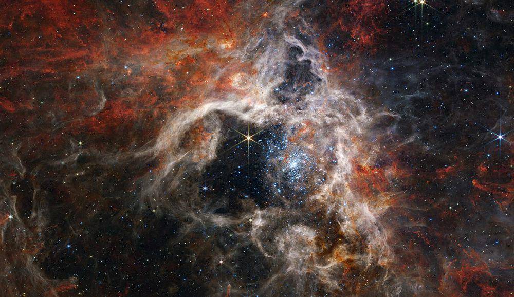 nebula tarantula (en.wikipedia.org)