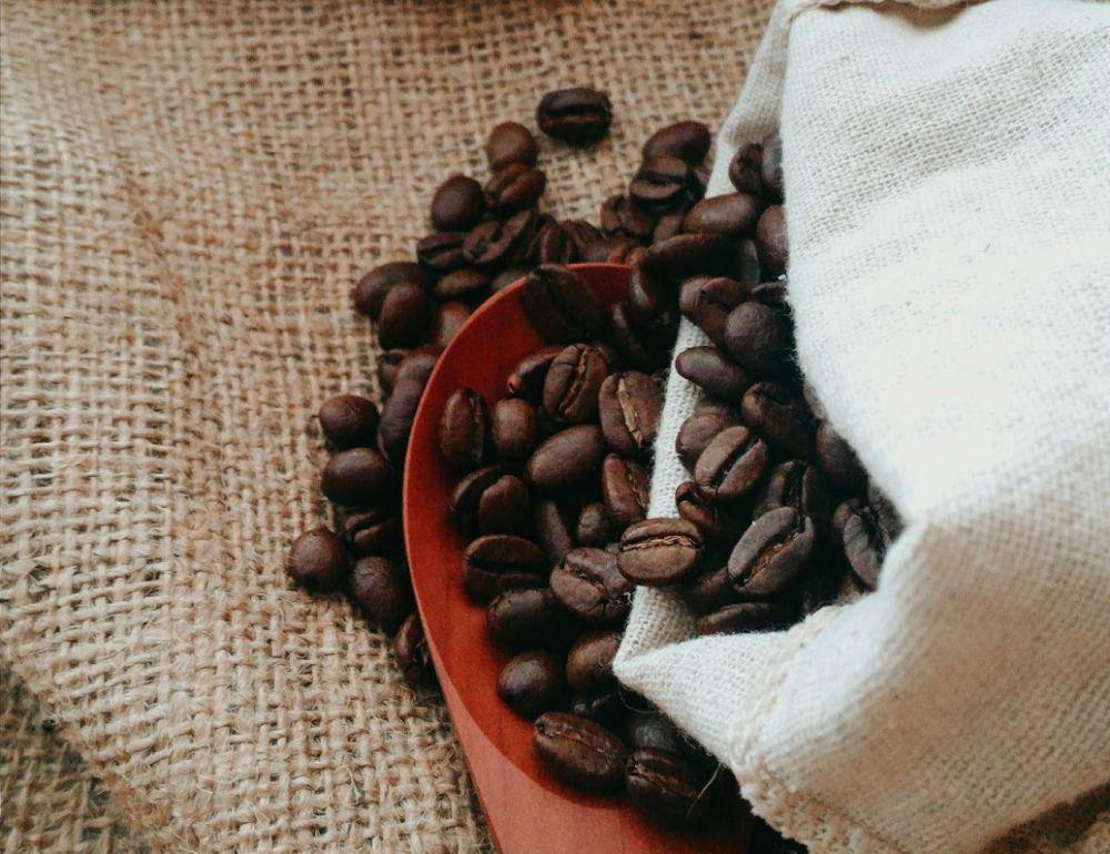 Ilustrasi biji kopi (unsplash.com/@ivyaralianizar)
