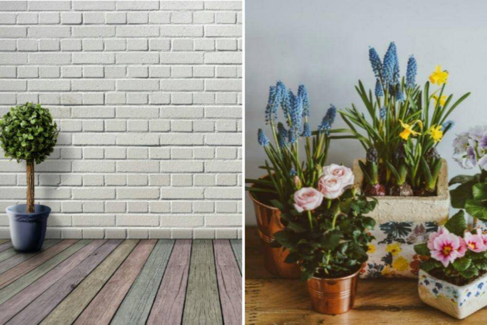 ilustrasi dekorasi lantai ruangan (pixabay.com/Darkmoon_Art/unsplash.com/Annie Spratt)