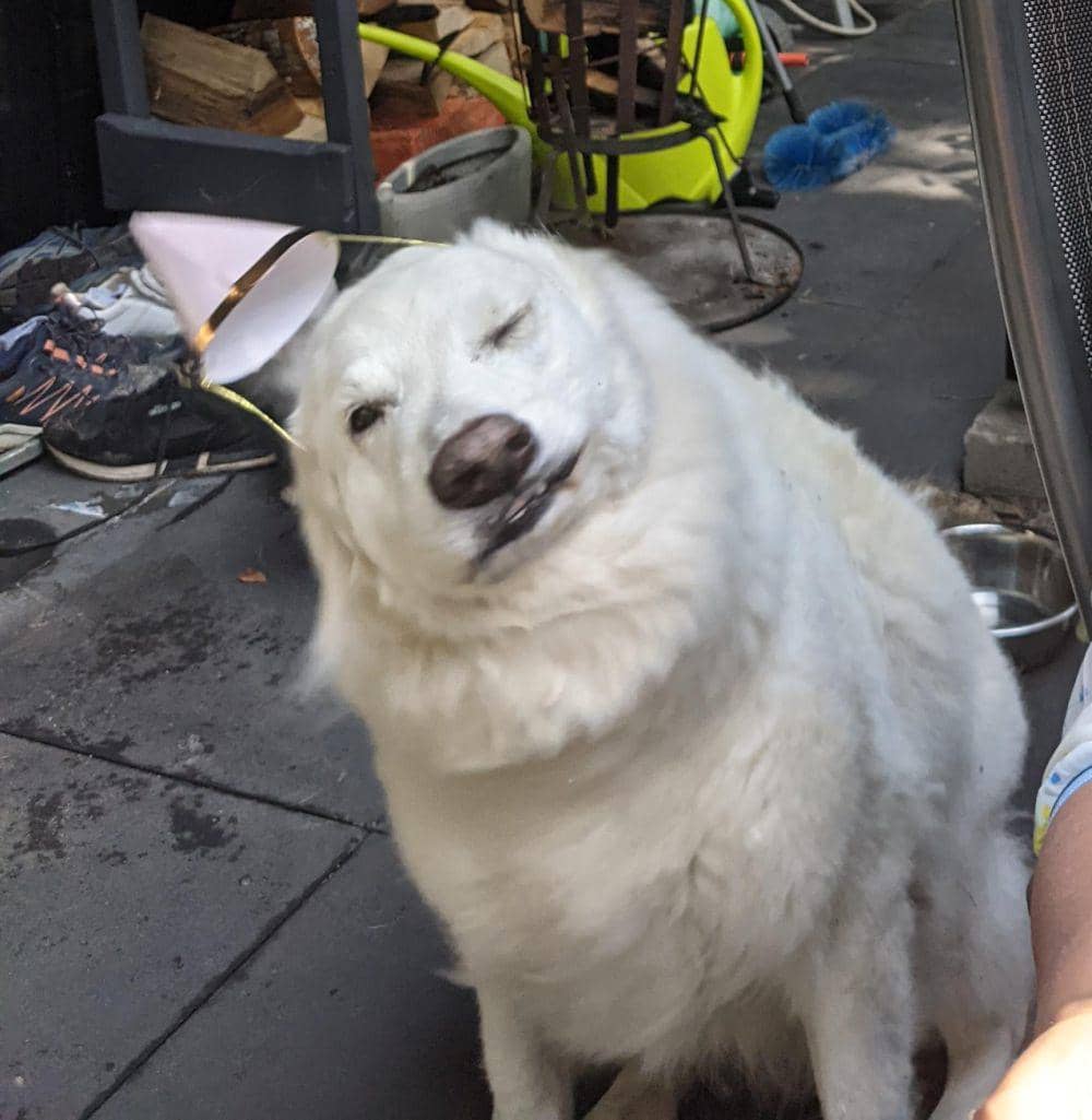 momen sebelum kejadian topi jatuh (reddit.com/user/master_berend)