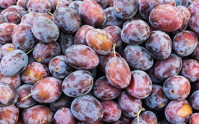 buah zwetschge (commons.wikimedia.org/Jebulon)