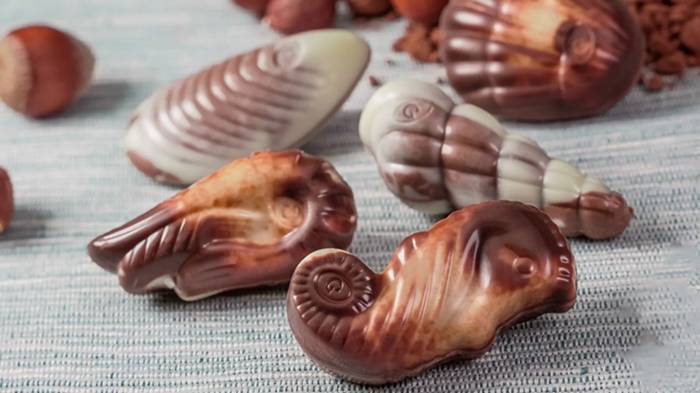 Potret cokelat sea shells and sea horses. dari Guylian (guylian.com)