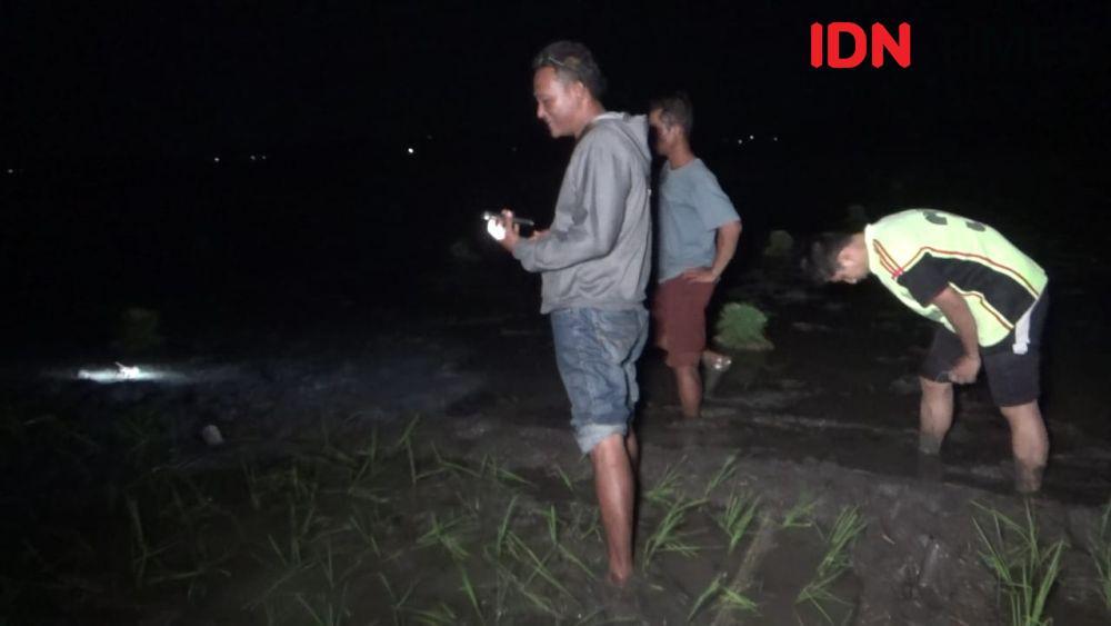 Petani di Ngawi Tewas Tersambar Petir