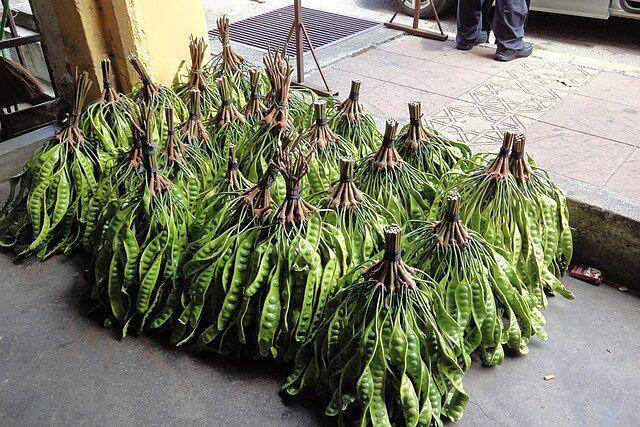 buah zawngtah (commons.wikimedia.org/Marufish)