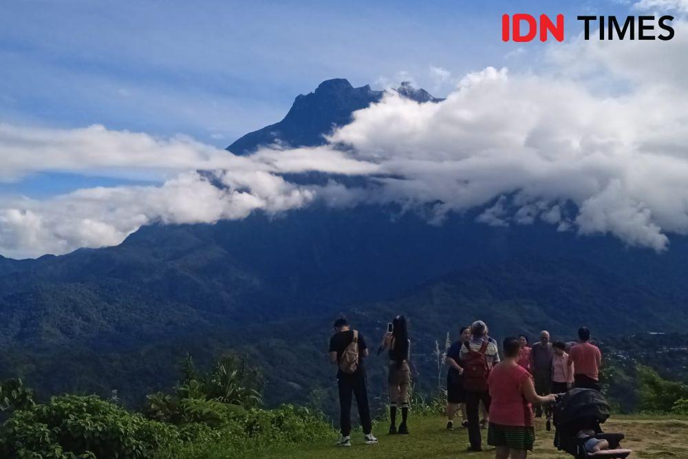 Menikmati Wisata Alam Sabah di Cattle Farm dan Tea Garden