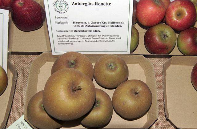 zabergau reinette apples (commons.wikimedia.org/Trollfreie Zone)