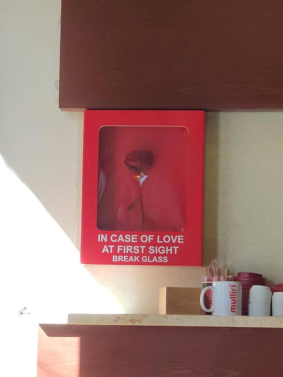 potret cara unik merayakan hari Valentine (reddit.com/user/dosien1234)