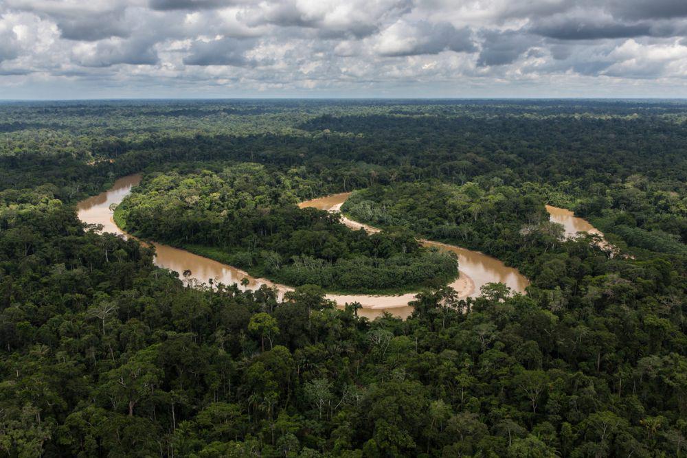 5 Ancaman Terbesar yang Mengintai Hutan Amazon, Bakal Gundul?