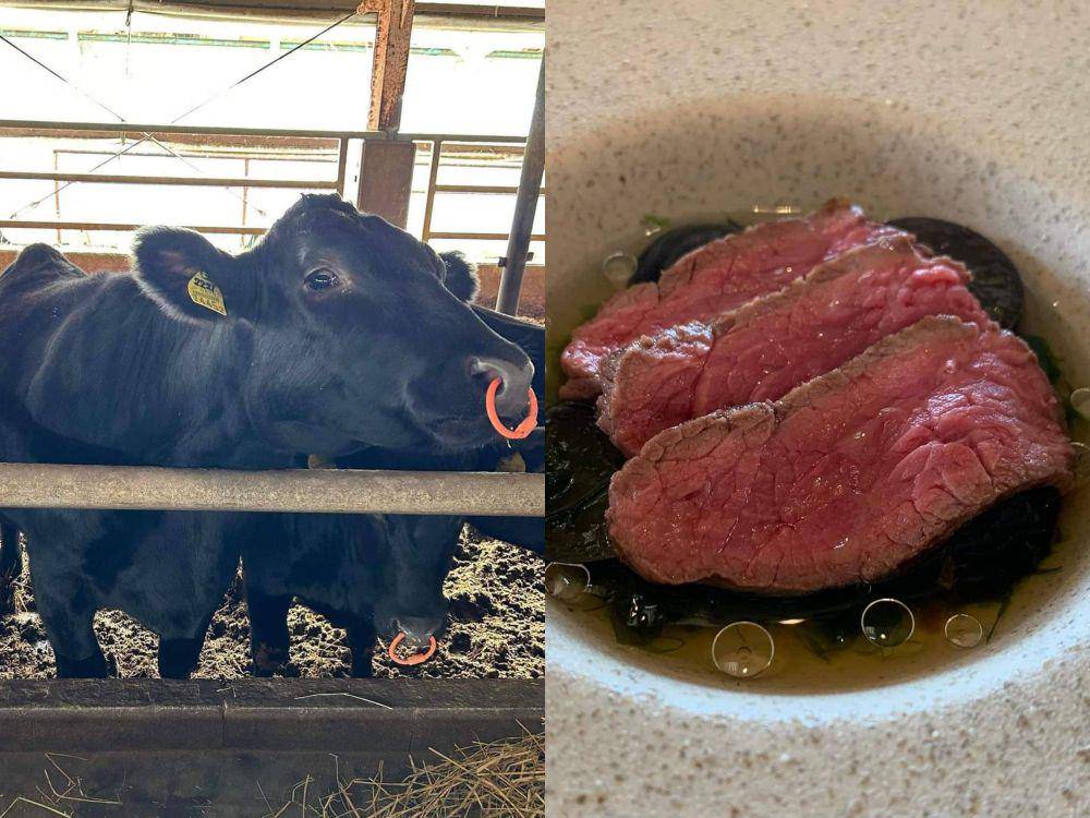 ilustrasi sapi tanpa tanduk dan daging yang dihasilkan (facebook.com/mukakulab)