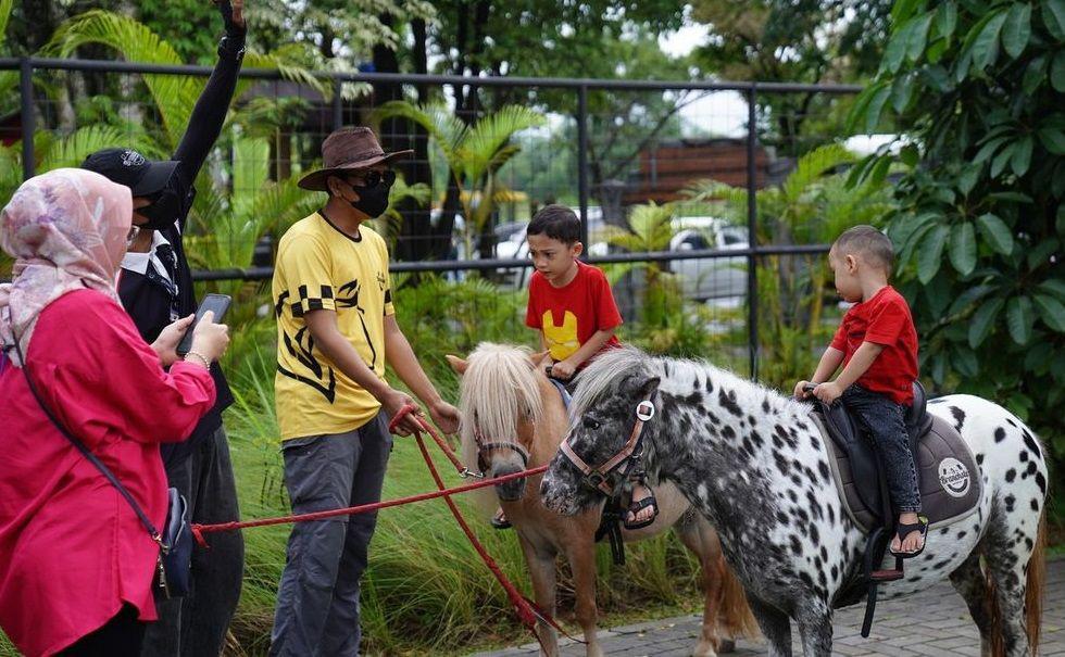 Branchsto Equestrian BSD (instagram.com/branchsto)