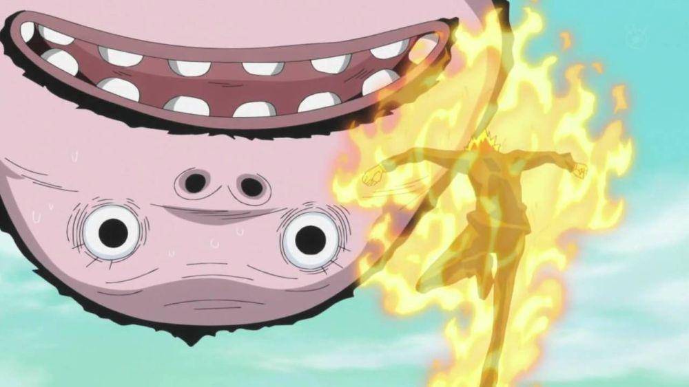 (Dok. Toei Animation/One Piece)