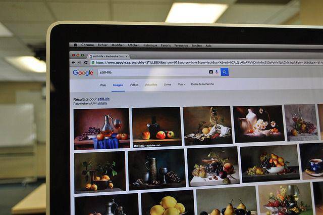 ilustrasi penggunaan google images (pixabay.com/Iggyko Bonnefoy)
