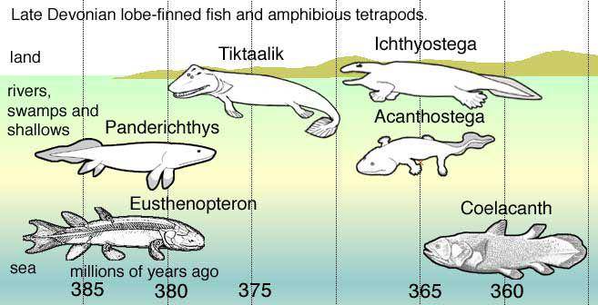 ilustrasi vertebrata di zaman devonian (Wikimedia Commons/Dave Souza)