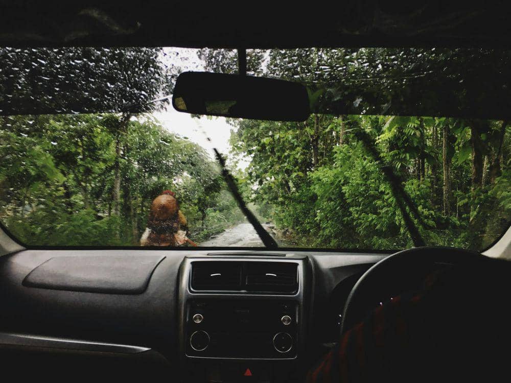 ilustrasi melewati jalan yang banyak pepohonan (Unsplash.com/Olya P)
