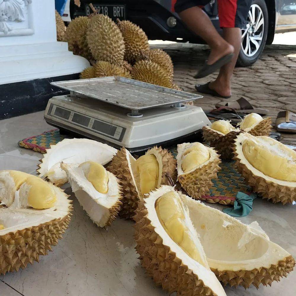 Durian Saung Komeng (instagram.com/saungkomeng)