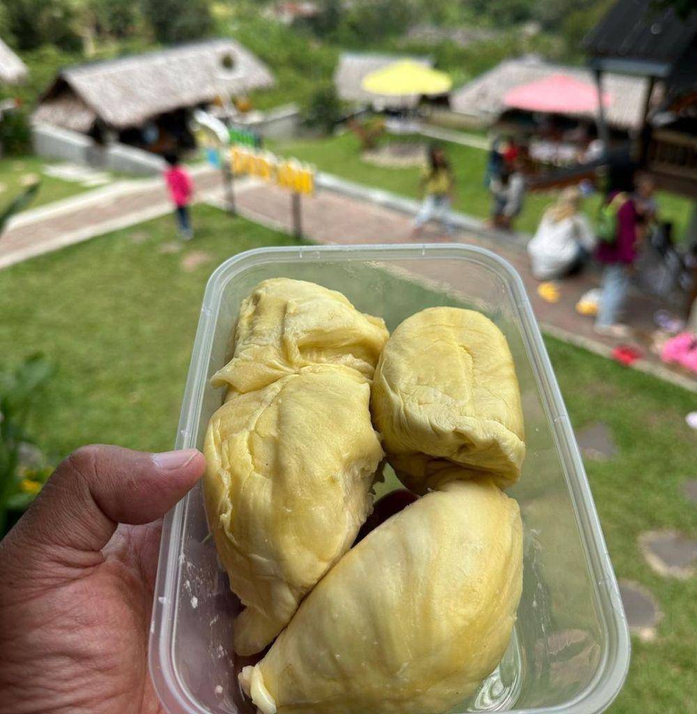Imah Durian (instagram.com/djs_garden)