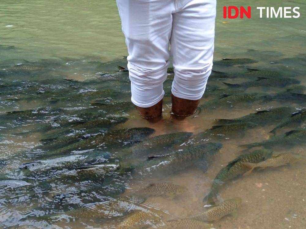 Luanti Fish River Spa di Sabah. (IDN Times/Sandy Firdaus)