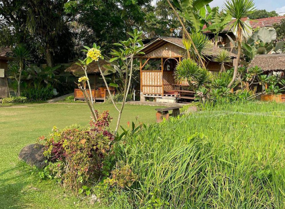 Watoe Gadjah, Tempat Kulineran Bernuansa Alam di Jogja