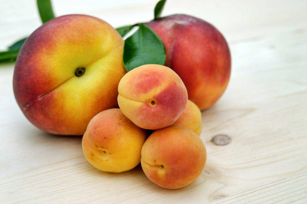ilustrasi buah persik (pixabay.com/Couleur)