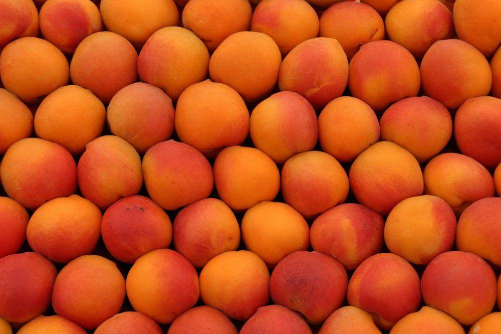 ilustrasi buah persik (pixabay.com/Peeti)