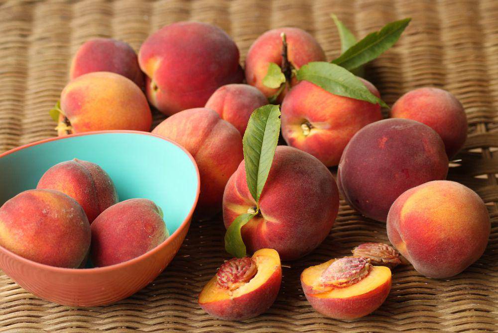 ilustrasi buah persik (pixabay.com/_Alicja_)
