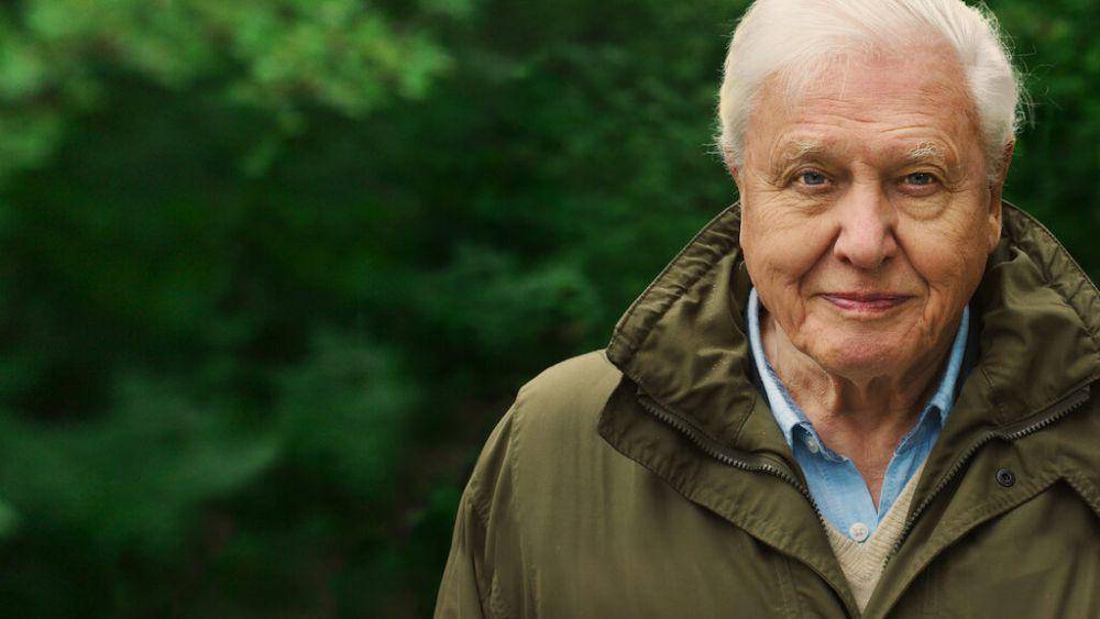 David Attenborough: A Life on Our Planet (dok. Netflix/David Attenborough: A Life on Our Planet)