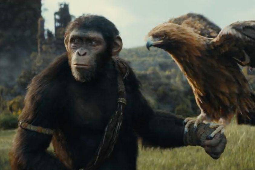 adegan dalam film Kingdom of the Planet of the Apes (dok. 20th Century Studios/Kingdom of the Planet of the Apes)