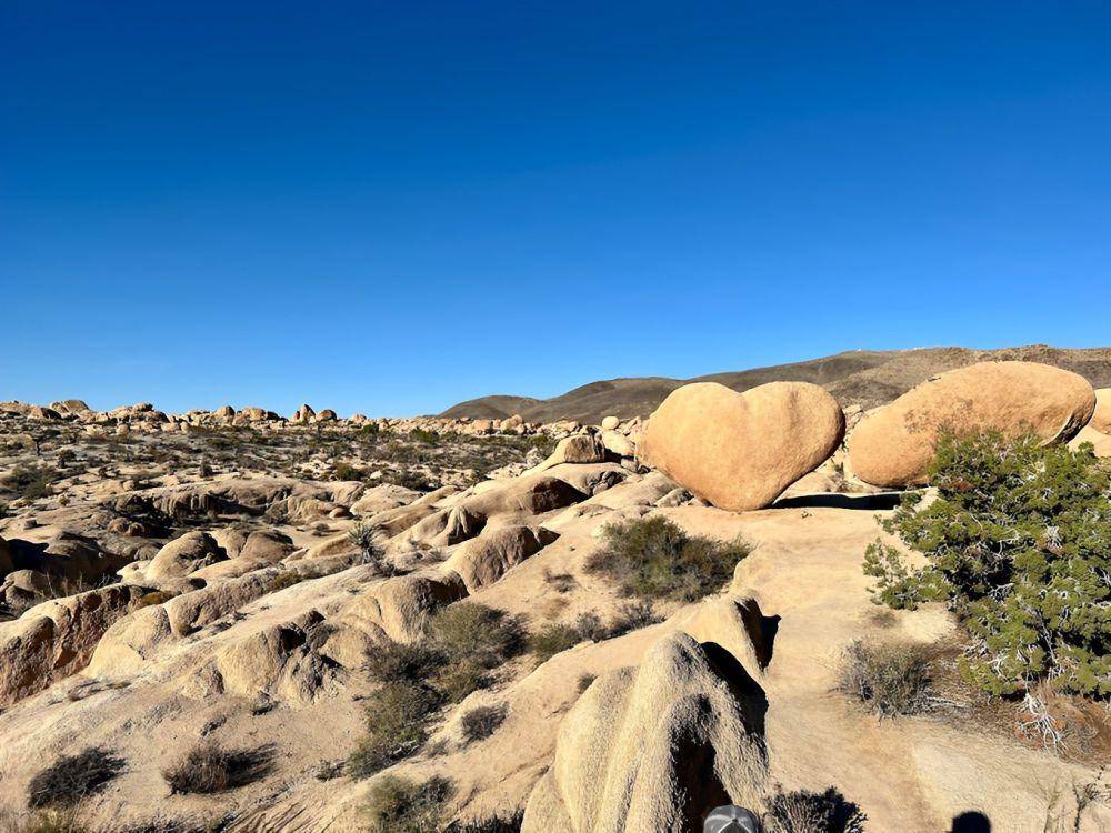 Heart Rock, Joshua Tree-California (google.com/maps/Yasmin Salas)