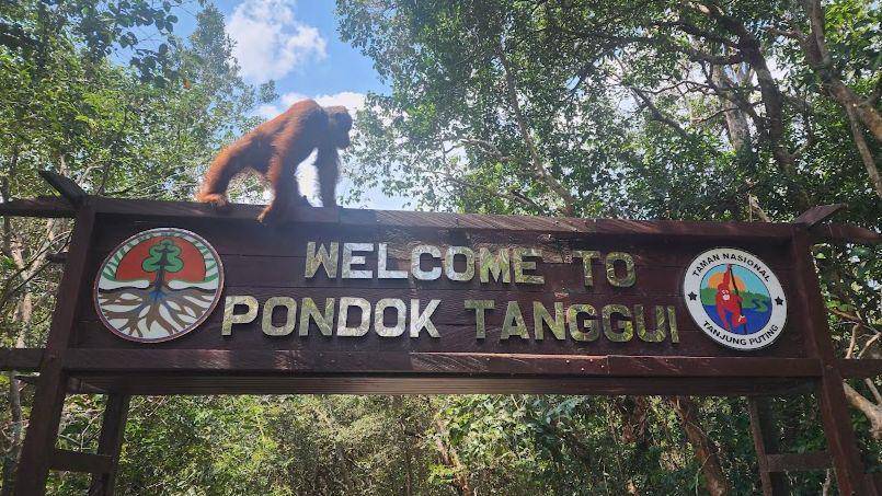 Taman Nasional Tanjung Puting (google.com/maps/Daniel Garcia Bergese)
