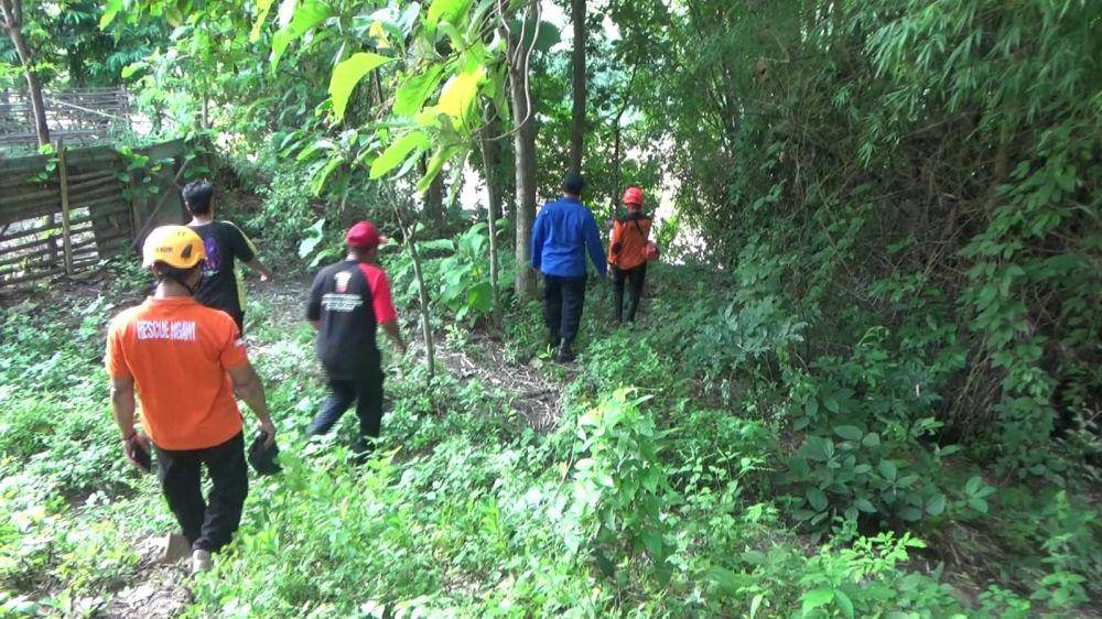 Petugas Damkar dan relawan berusaha menangkap kera liar resahkan warga. IDN Times/ Riyanto