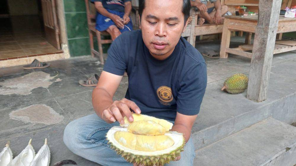 Pecinta durian saat menikmati durian Saman jatuhan pertama. IDN Times/ Riyanto