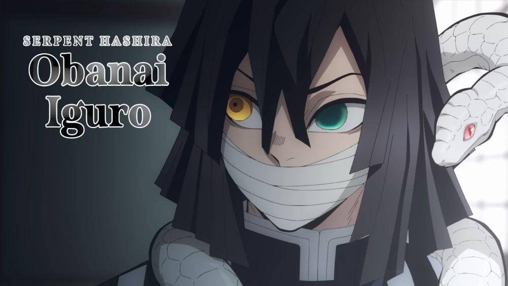 (Dok. Ufotable/Demon Slayer: Kimetsu no Yaiba - To The Hashira Training Arc)