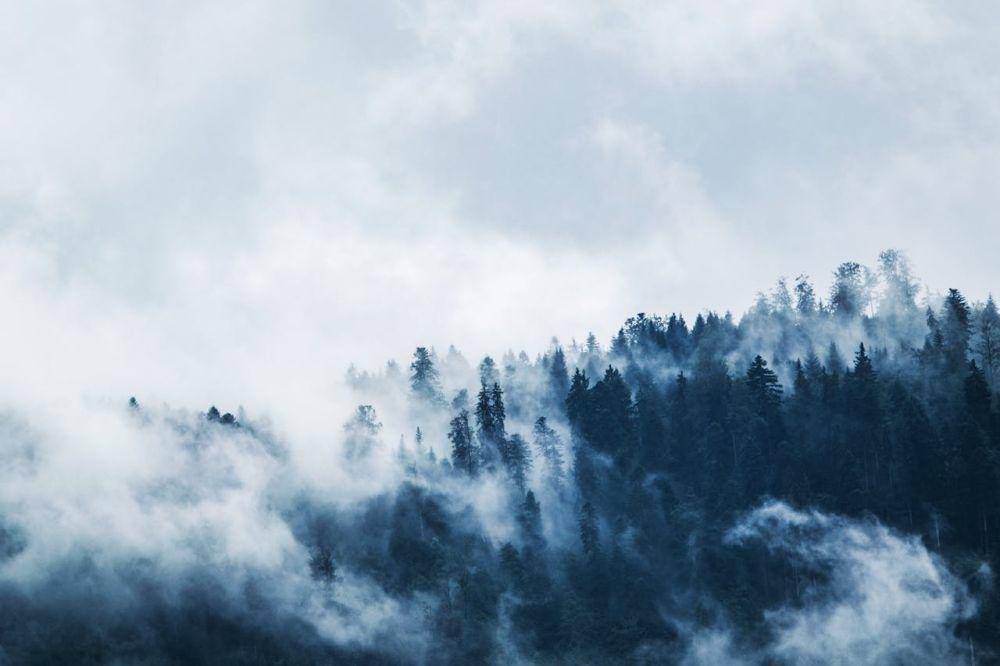 ilustrasi kabut (pexels.com/Lum3n)