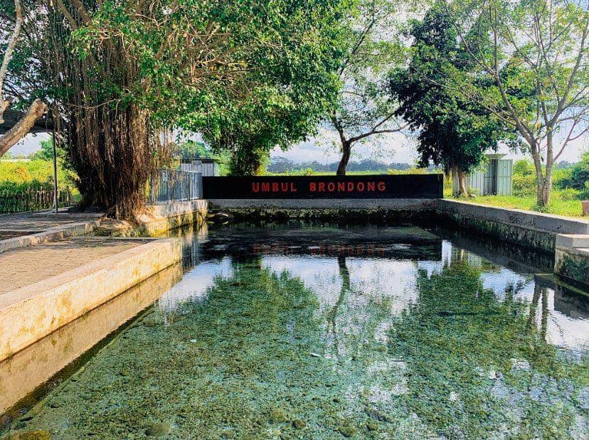 Umbul Brondong (instagram.com/umbulbrondong)