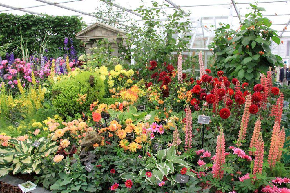 potret chelsea flower show, london (flickr.com/Karen Roe)