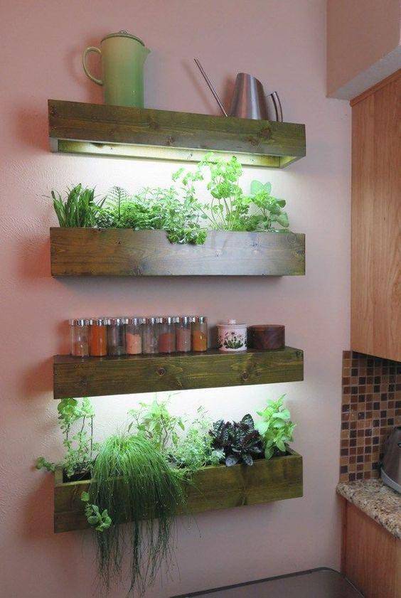 inspirasi green kitchen dengan tanaman rempah dan sayur (anestwithayard.com)