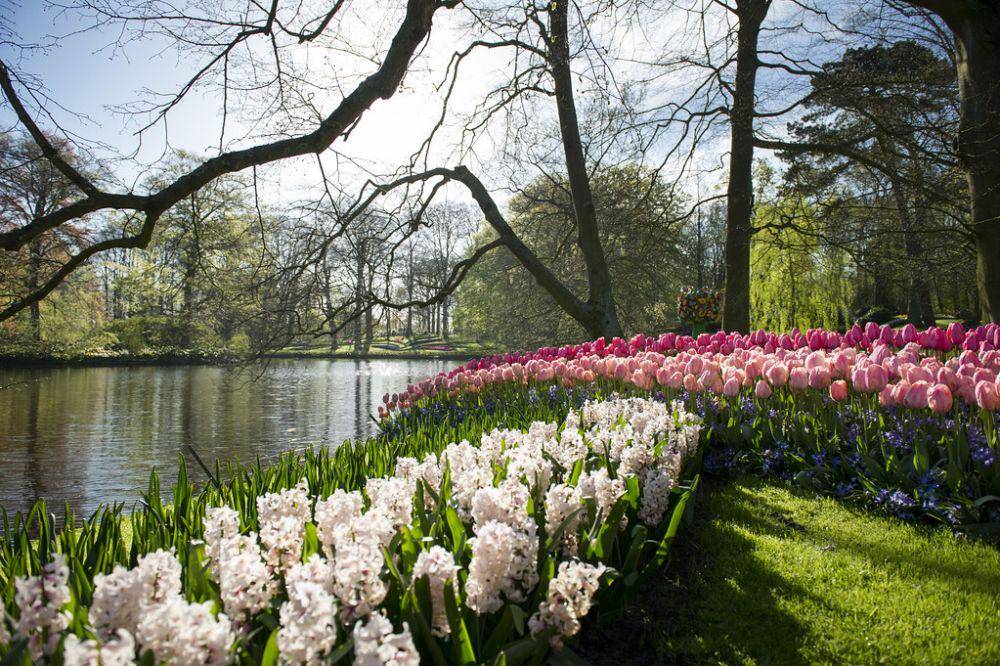 potret keukenhof garden, belanda (flickr.com/United Nations Photo)