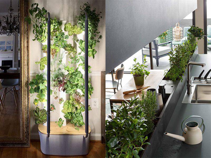 inspirasi green kitchen dengan tanaman rempah dan sayur (mygardyn.com|cdeco.fr)