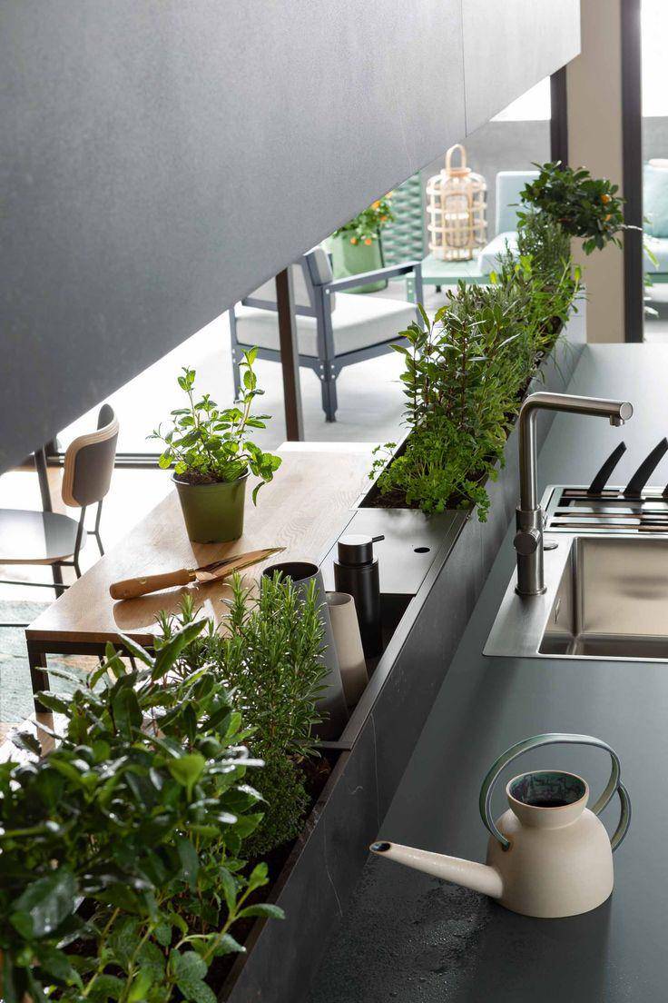 inspirasi green kitchen dengan tanaman rempah dan sayur (cdeco.fr)