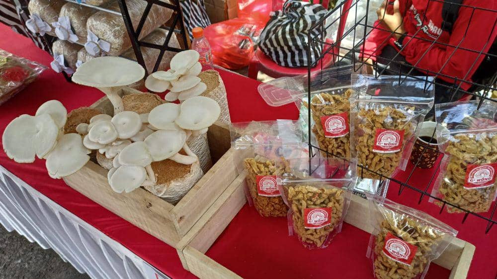 Budidaya jamur tiram di Desa Petiga Kecamatan Marga Kabupaten Tabanan (Dok.IDNTimes/Istimewa)