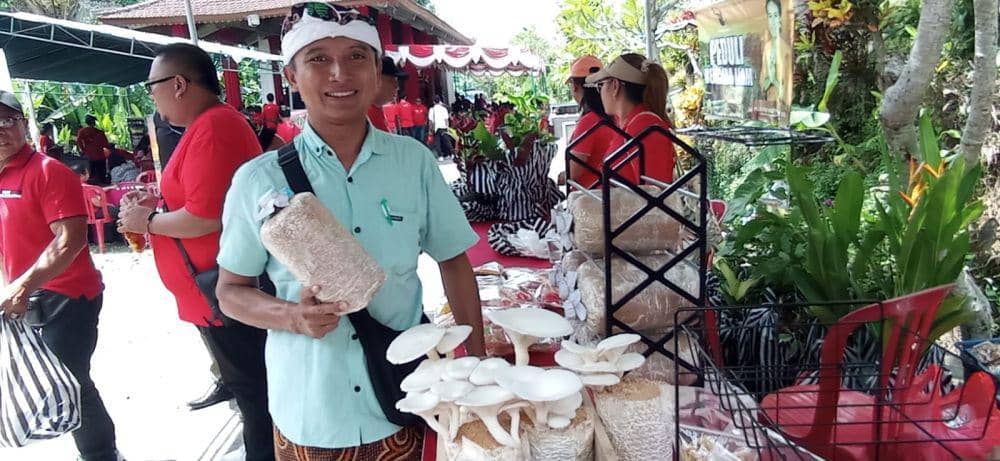 Budidaya  Jamur Tiram, Berawal Cari Sampingan saat Pandemik