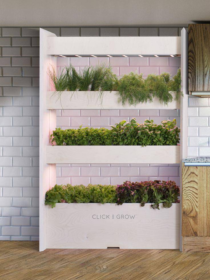 inspirasi green kitchen dengan tanaman rempah dan sayur (clickandgrow.com)