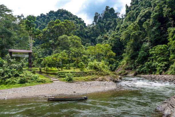 Taman Nasional Gunung Leuser (istockphoto.com/worldwidephotoweb)