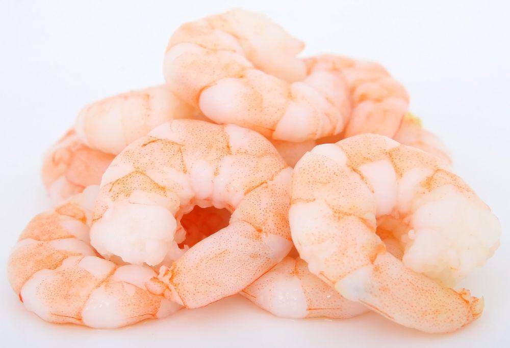 ilustrasi udang segar (pixabay.com/Shutterbug75)