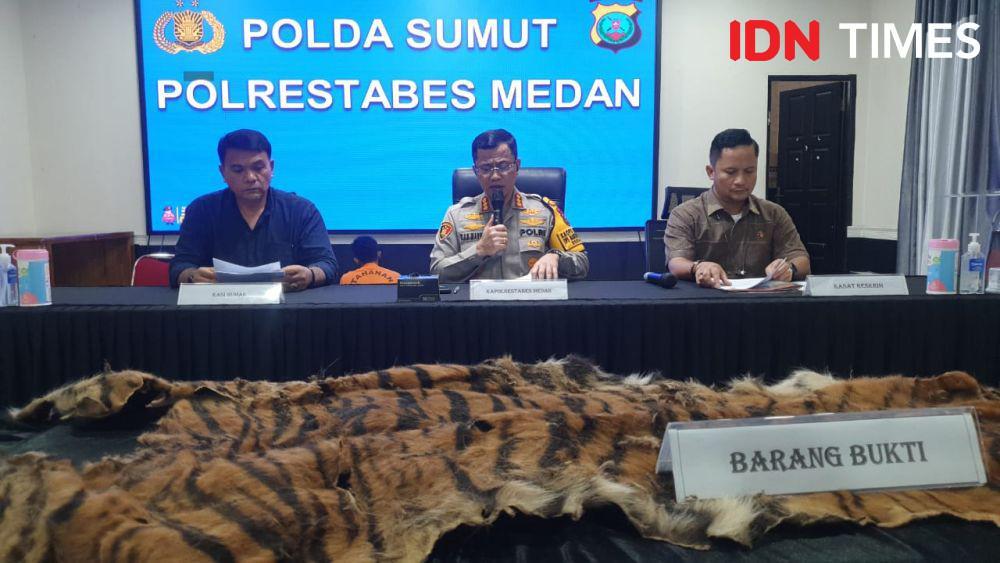 Polisi Menyamar Jadi Pembeli, 2 Penjual Kulit Harimau Ditangkap