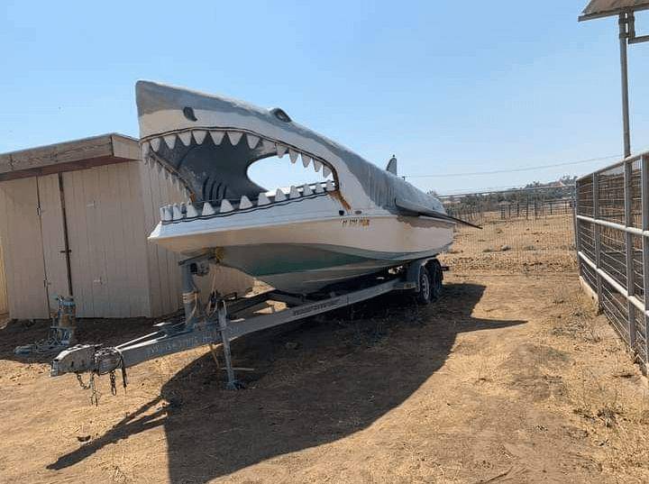 potret objek bentuk ikan hiu nyentrik (reddit.com/user/ASassyTitan)